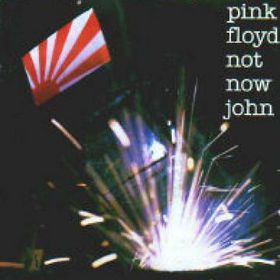 pink floyd not now john